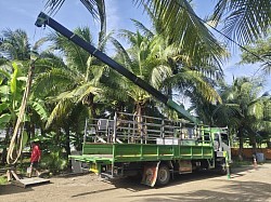 รถเฮี๊ยบติดคอก